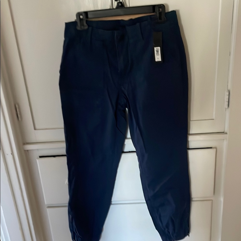 New with tags Navy cargo pants. Zipper and elastic ankle